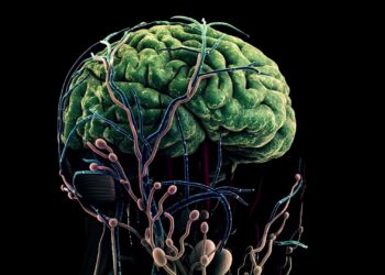 6개월 이상 ‘오락가락’…”건망증 아닌 뇌질환 일수도”