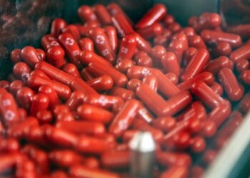 머크 “먹는 코로나 알약 치료제 개발 성공”