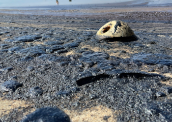 [3보] OC 4마일 해변에 원유 47만리터 유출, 사상 최악 “생태학적 재앙”