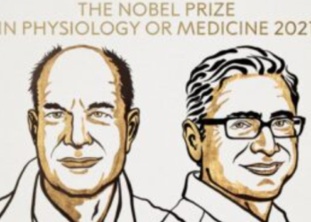 “고추 먹으면 왜 얼얼할까” 호기심이 노벨상까지