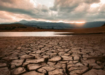 ‘가뭄 극심’ 캘리포니아, 물 제조기 인기..하루 1900갤런