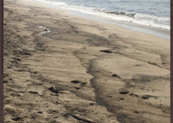 헌팅턴 비치 유출 기름 해류 타고 확산..피해 천문학적 규모