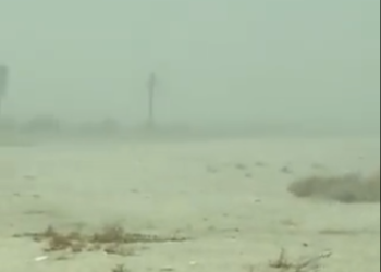 LA 일부 지역 한파, 서리 주의보..결빙 우려까지