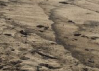 “OC 기름 유출 사고는 화물선 닻 때문”..용의 선박 지목