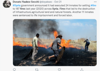 산불 방화범 26명 처형..”방화는 테러”