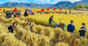 [지금 북한은] 중국서 식료품 수입 44% 급증..수입액의 20%
