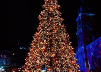 ‘시타델’ 10월에 등장한 초대형 트리…할리웃사인 보다 70피트 높아