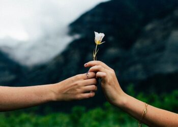 [이런일도]”스토킹엔 나이 없다” 70대, 여성 집앞서 만나달라 고성