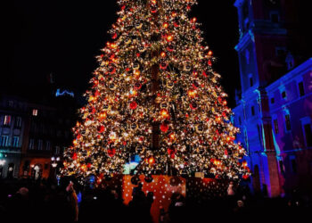 ‘시타델’ 10월에 등장한 초대형 트리…할리웃사인 보다 70피트 높아