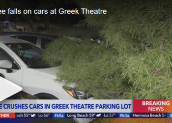 한인타운 인근 그리피스팍 나무 쓰러져 차량 27대 파손