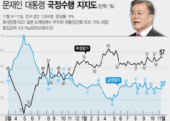 40대 제외한 전 연령층서 ‘반대’ 더 많아…20대는 60%가 부정적