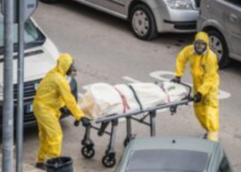 미국 올해 코로나 사망자 작년 보다 2배 더 많아.. 77만800명