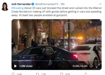 ‘강도 80명, 차량25대’ 초유의 떼강도단, 백화점 싹쓸이