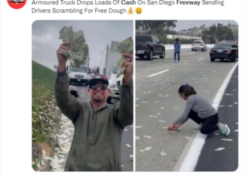 5번 프리웨이서 돈다발 뿌려져..FDIC 20달러 현금 뭉치