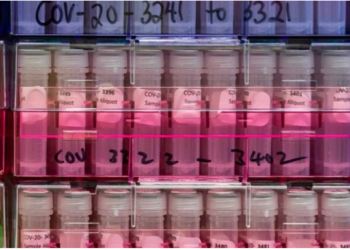 새 변이 바이러스 B.1.1.529, 왜 ‘오미크론’일까