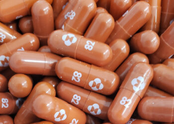 ’23명 중 10명 반대’ FDA 자문위, 먹는 치료제 승인 권고