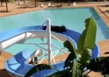 [이런일도]도살장 탈출한 소, 워터파크서 미끄럼틀 타’소'(牛)”