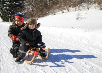 “LA에 눈이 내려요”..  33개 공원에 눈동산 만든다