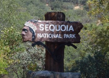 ‘산불 피해’ 세쿼이아 국립공원 다시 문열어