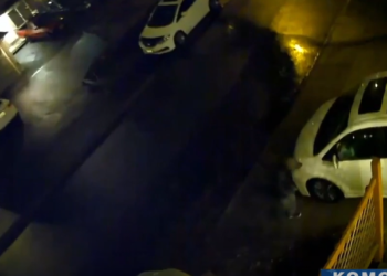 경찰, “강도들 표적은 한인 등 아시아계 주민”