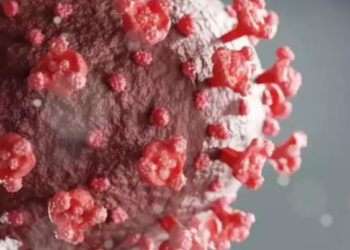 오미크론 첫 사망자,  입원자들  2회 접종자..사망급증 우려