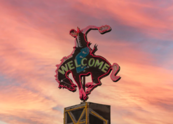 “세계 최고 조세피난처, 미국에 있었다”