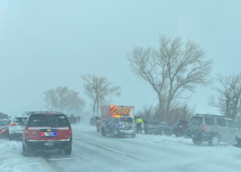 캘리포니아·네바다 일대 눈폭풍…차량 20대 연쇄충돌