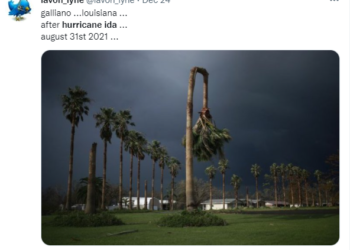 허리케인 아이다, 텍사스 한파, 유럽 홍수..올해 최악 기후재난들