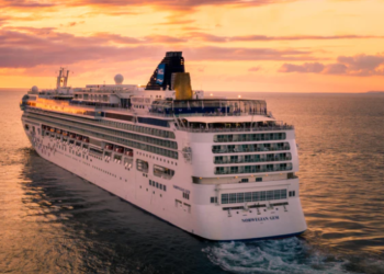 미 크루즈선 88척 코로나 감염 조사 중