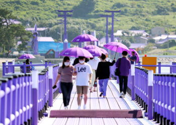 신안 퍼플섬 어떤 곳이길래…UN, Best Tourism Village선정