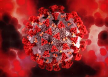 하루 확진자 51만명 넘어 신기록..이전 기록 2배