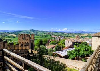 비아그라 먹은 80대 남성, 19살 연하 아내 살해…”관계 거부해서”