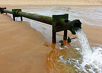 “연말 확진자 늘 수밖에”…폐수서 바이러스 농도 상승