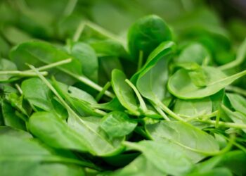 [건강]”우울할 땐 이 음식을 먹어보세요”..시금치, 버섯, 키위 그리고 이것