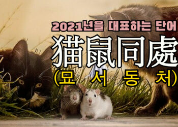 [영상에세이]2021년 올해의 사자성어 “묘서동처”