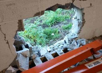 성탄 이브 나눠줄 선물  몽땅 털린 자선단체, 소식 알려지자…