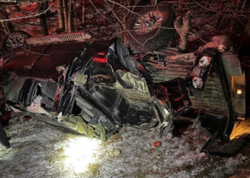 교통사고 주인 살린 셰퍼드, 프리웨이서 경찰에게 구조요청