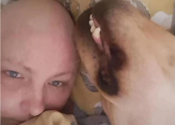 냄새로 주인 유방암 발견한 반려견