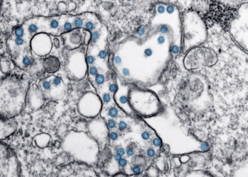 미국 이번 주부터 4차 접종 돌입