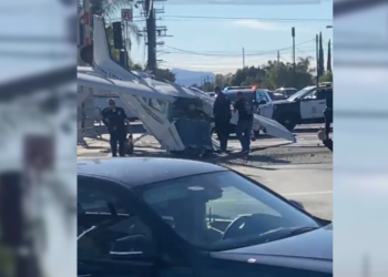 LA서 경비행기와 열차 충돌..조종사 극적구조(영상포함)