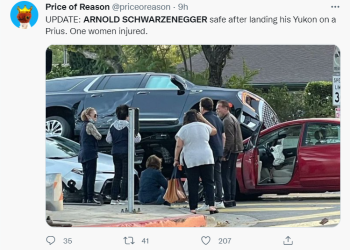 슈워제네거 대형 SUV 4중 충돌 사고..LA 팰리세이드서