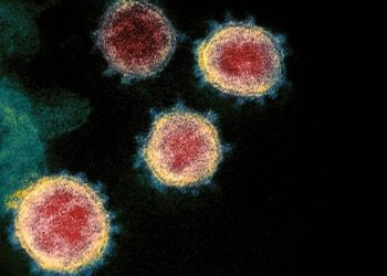 새로운 스텔스 변종 바이러스 출현..미국 등 45개국서 발견