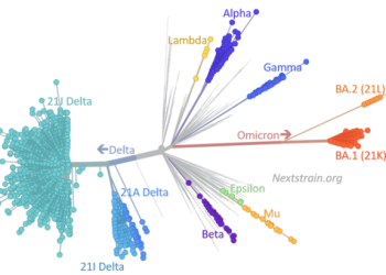 스텔스 오미크론 49개국 확산…인도선 벌써 ‘우세종’