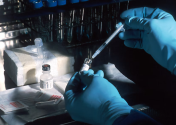 mRNA 코로나 백신 방식으로 에이즈 백신 개발 청신호