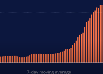 미국 코로나 하루 신규 확진자, 50만명대 뚝 떨어져