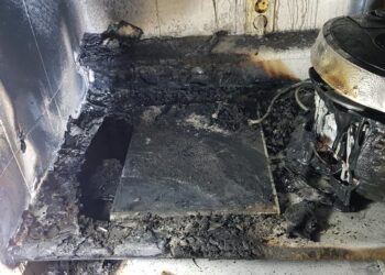 “사이코패스 고양이 방화 사건, 3년간 107건”