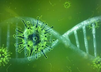 돌연변이 46개 가진 새 변이 바이러스 발견