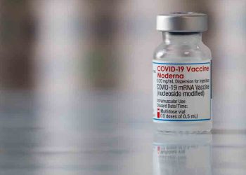 모더나 가을 백신, ‘피롤라 변이’에 효과