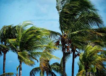 LA, OC 등 남가주 전역 다시 강풍주의보