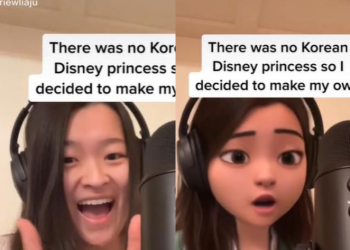하버드 한인 학생, “디즈니에 한국인 공주 없길래”